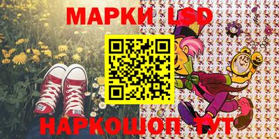 индика Кингисепп