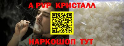 индика Кингисепп