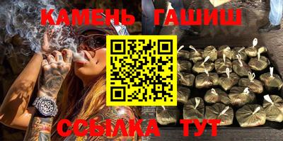 индика Кингисепп