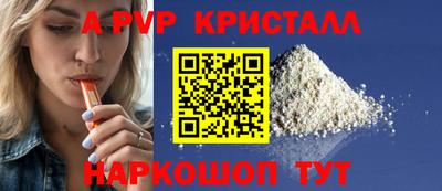 индика Кингисепп