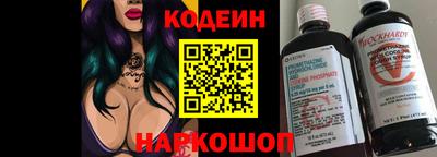 индика Кингисепп