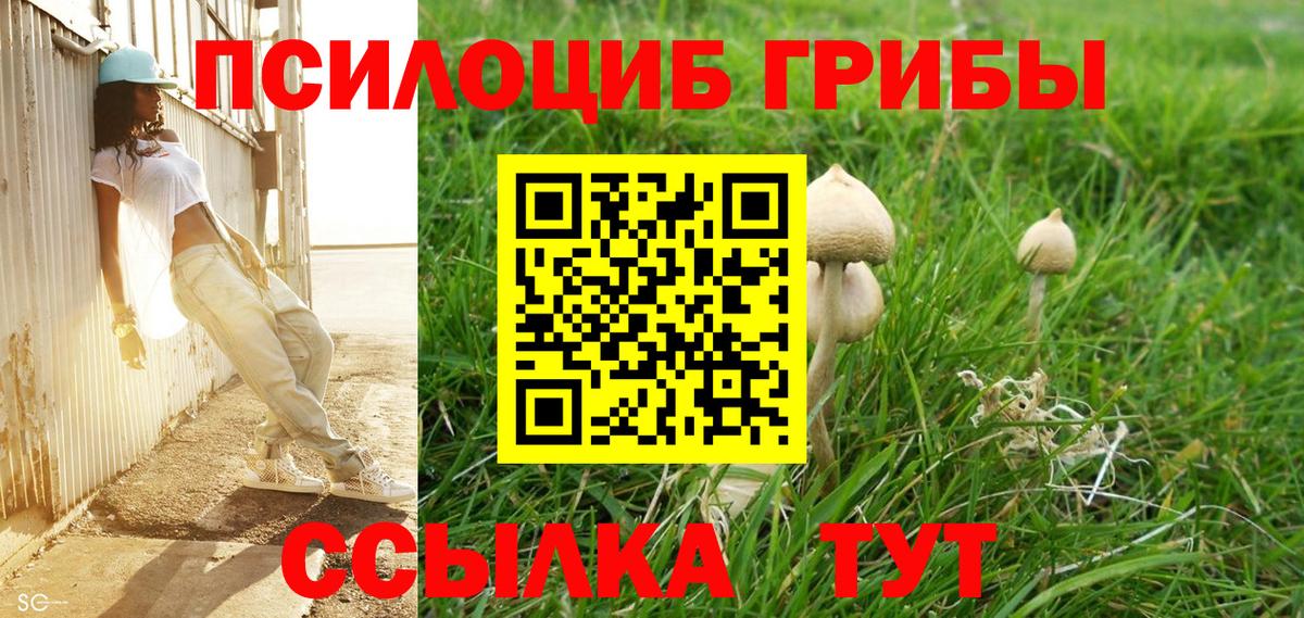 Дальнереченск  Галлюциногенные грибы Psilocybe  Вход с VPN 