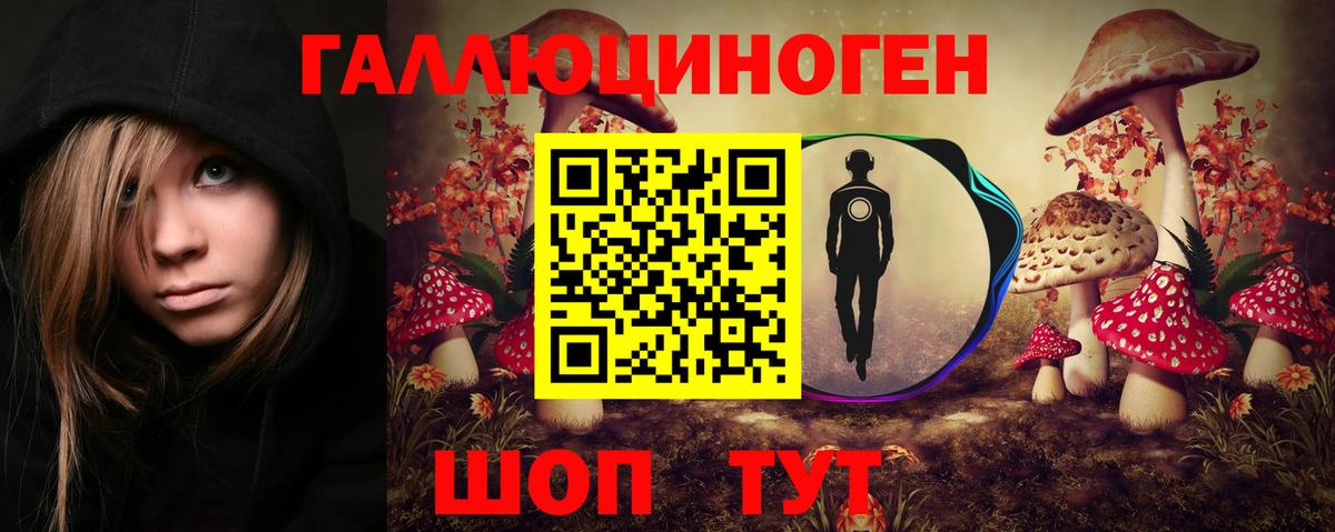 Галлюциногенные грибы Psilocybine cubensis Дальнереченск